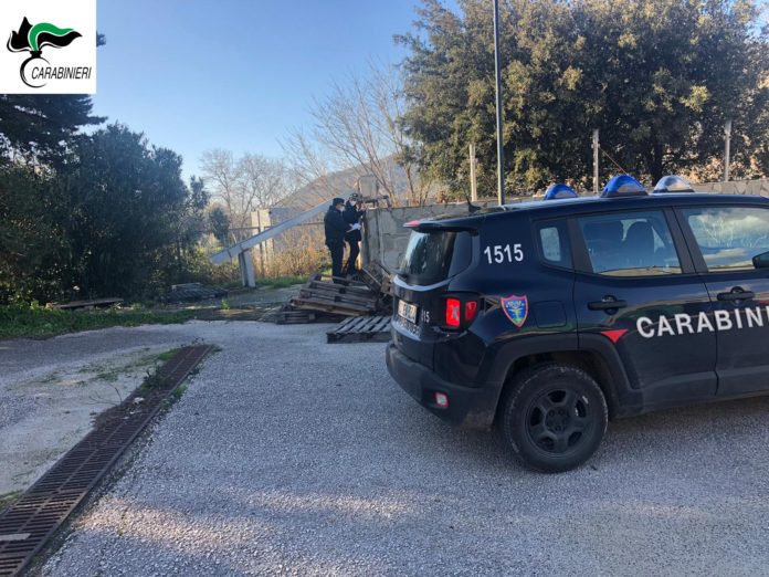 Carabinieri forestale