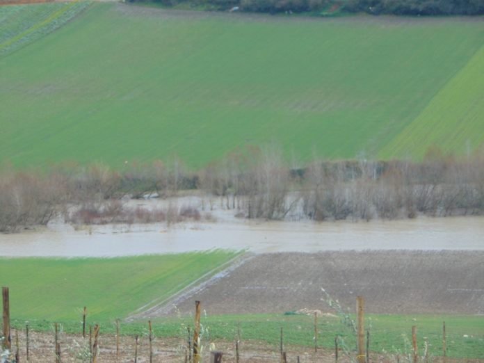 FIUME TAMMAROWhatsApp Image 2021-02-10 at 18.18.16 (3)