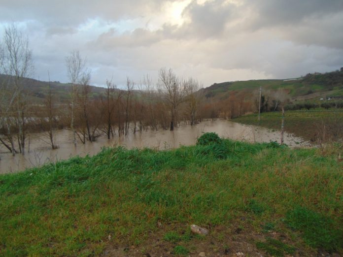 FIUME TAMMAROWhatsApp Image 2021-02-10 at 18.18.16 (4)
