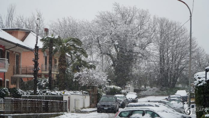 NEVICATA FEBBRAIO 2021 (3)