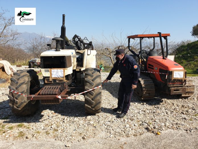 Carabinieri Forestali