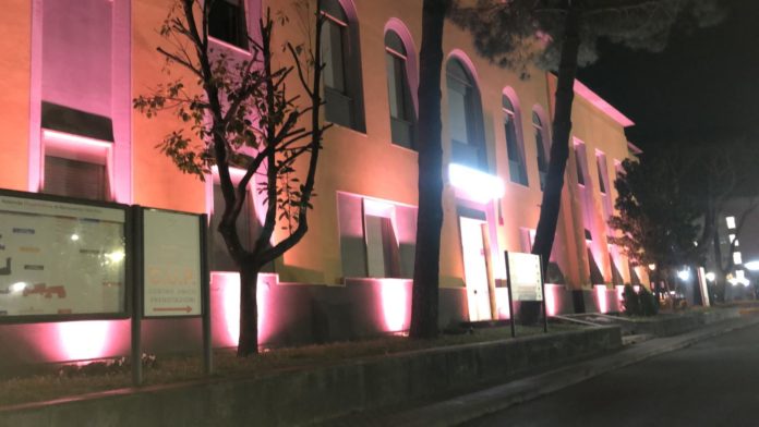 San Pio rosa 2
