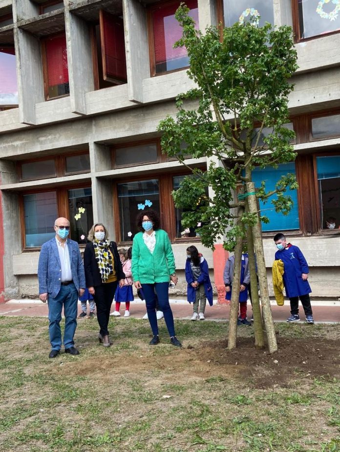 LIONS SCUOLA 3