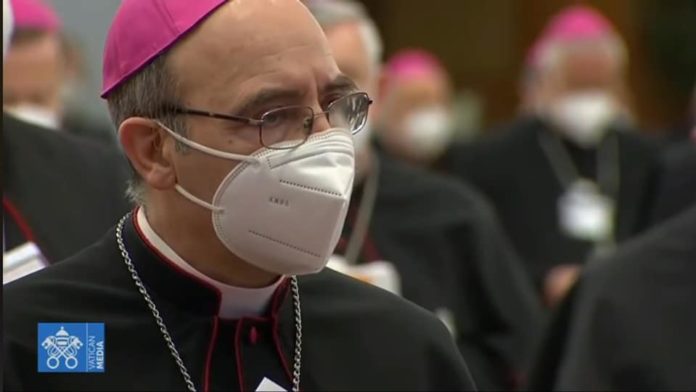 PAPA INCONTRA VESCOVI 3