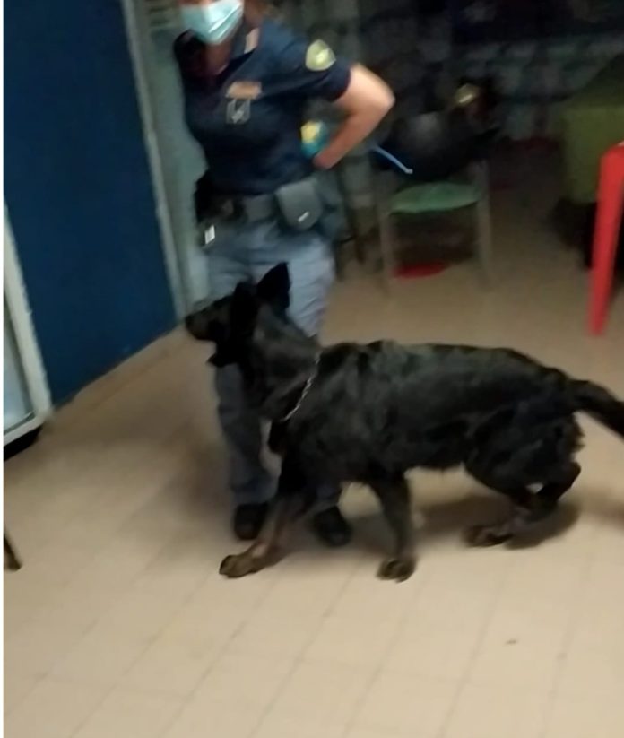 POlizia droga 2