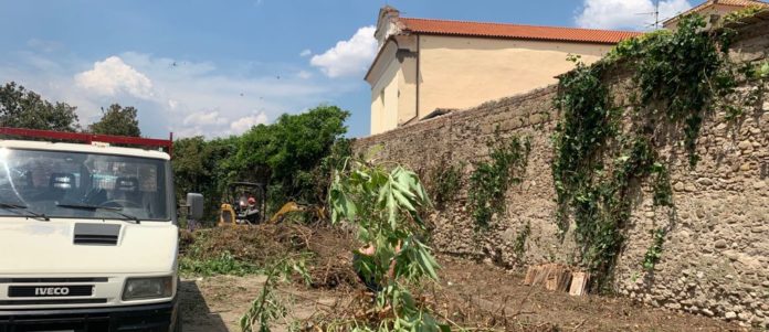 LAVORI SCUOLA BOSCO LUCARELLI 1