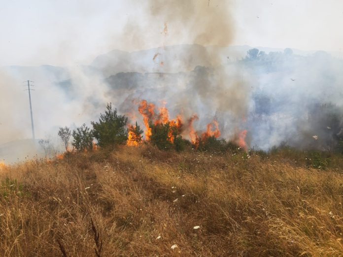 INCENDIO APOLLOSA 2