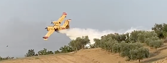 Incendio CanadairSchermata 2021-08-05 alle 13.56.24