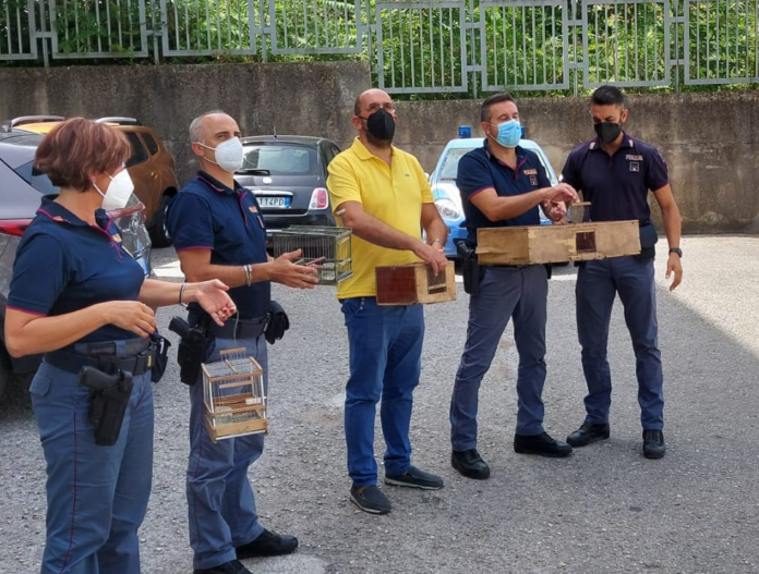 bracconaggio 1
