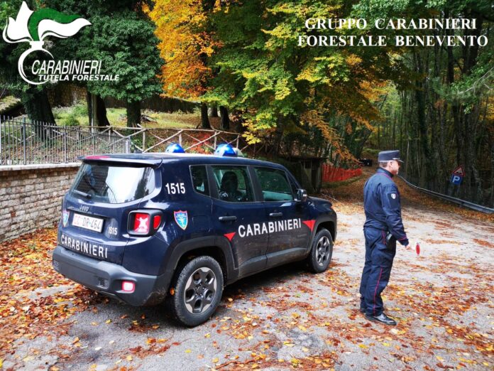 Forestali Carabinieri