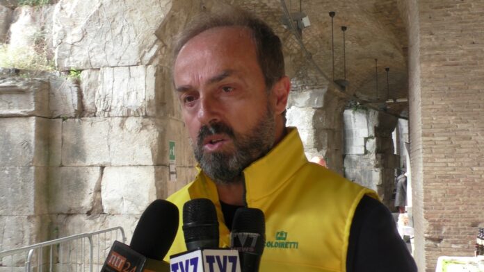 MASIELLO