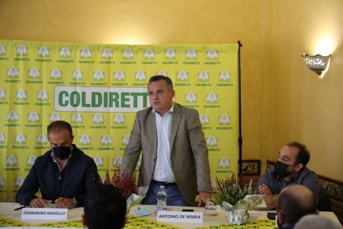 PROVINCIA PROGETTO RUCANET
