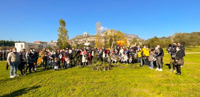 Giornata dell'albero-Montesarchio