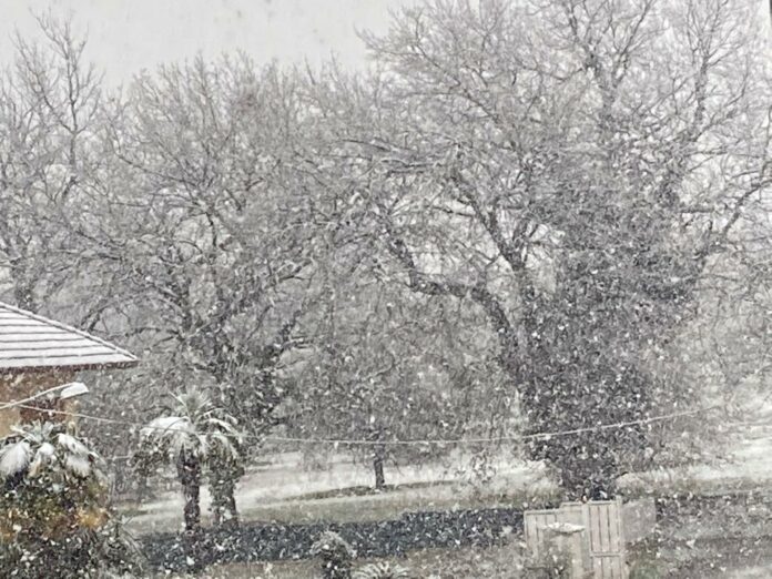 NEVICATA 2 26-2-22