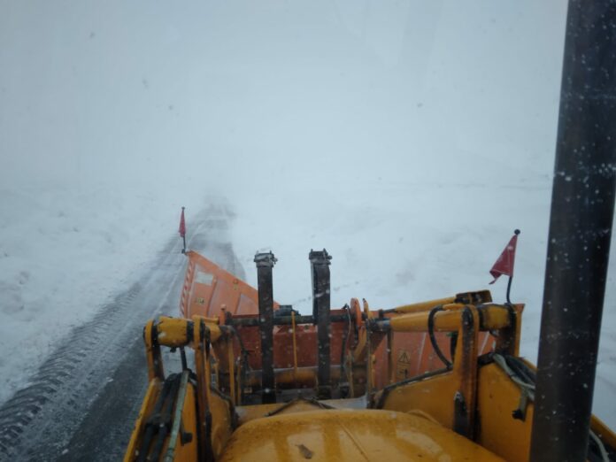 NEVE FORTOREPHOTO-2022-03-05-15-50-07