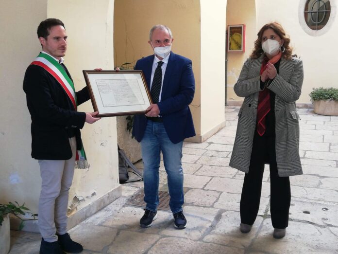 Piterlcina defibrillatore