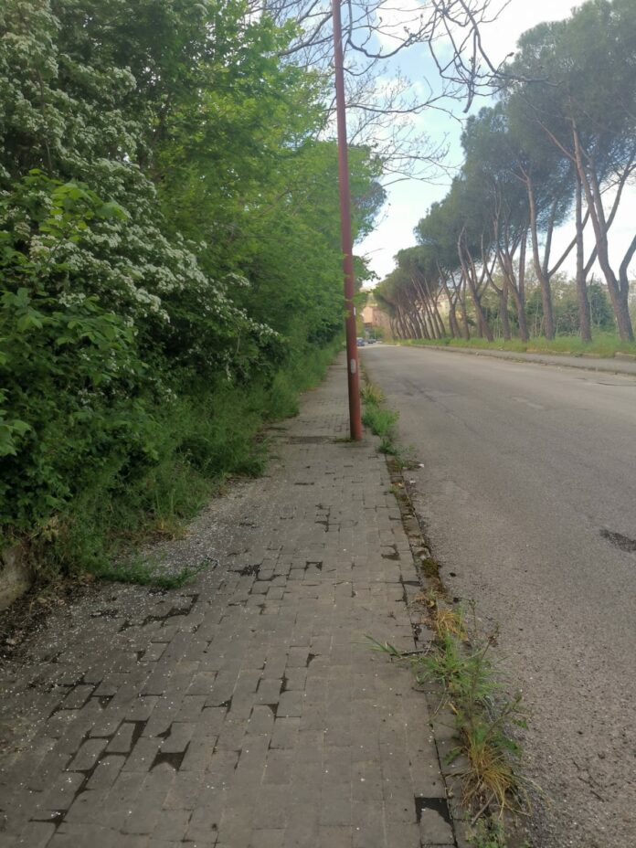WhatsApp Image 2022-04-26 at 16.53.34-4SOS VIA PONTICELLI