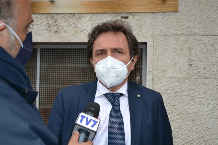 volpe (2)