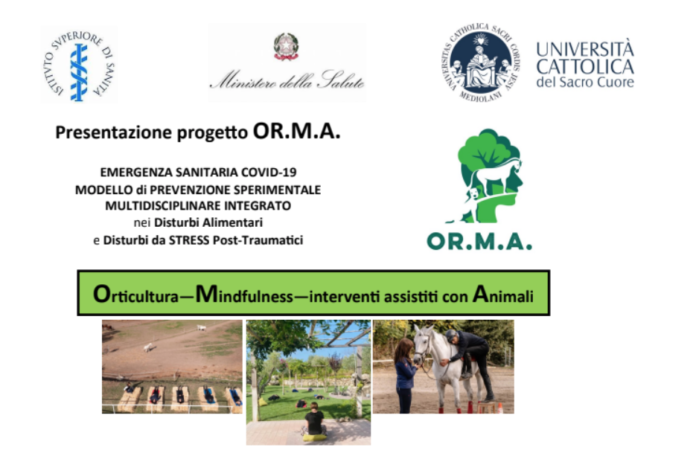 Schermata 2022-06-05 alle 13.05.14
