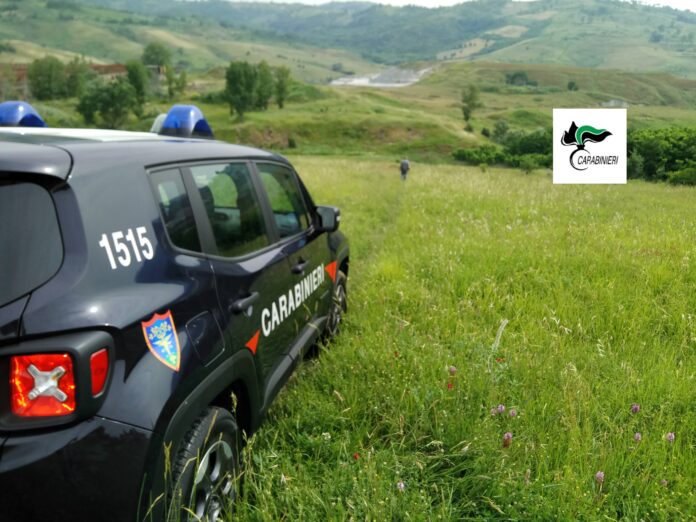 CARABINIERI FORESTALE