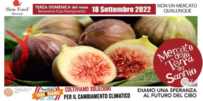 MERCATO DELLA TERRA
