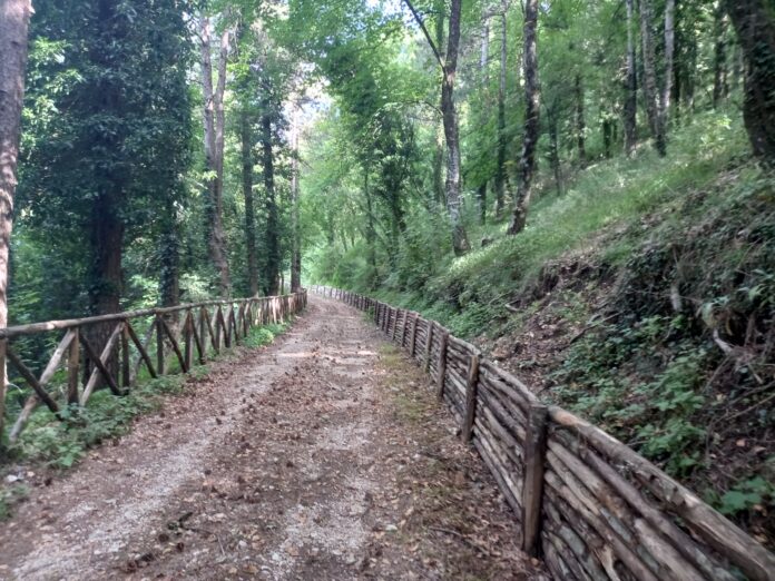 Sentiero Sanniti Pentri 1