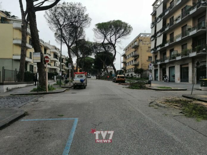VIALE DEGLI ATLANTICI TAGLIO ALBERI 9