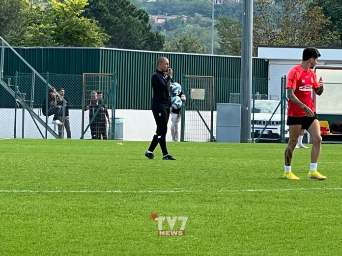 cannavaro 8