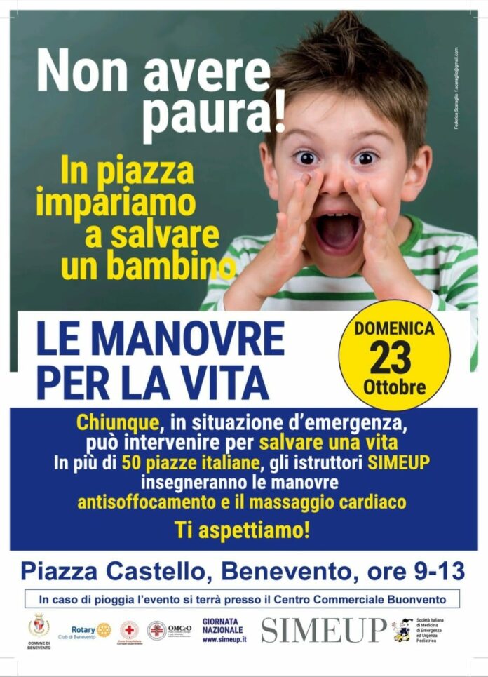 manovre per la vita-locandina