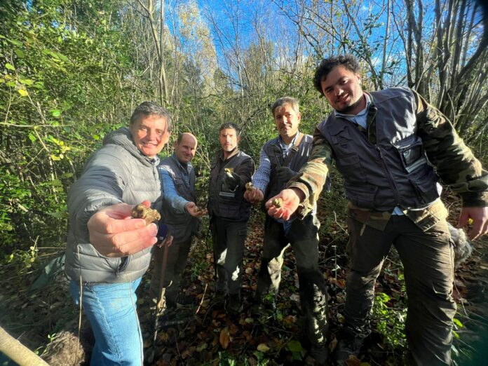 Ceppaloni Tartufo al Borgo