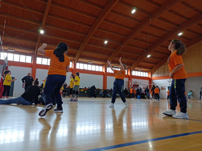VOLLEY PADULI image-3