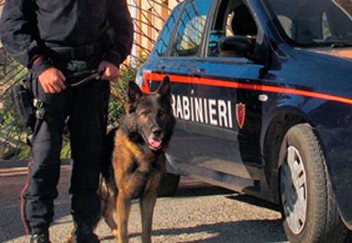 carabinieri-cinofili-