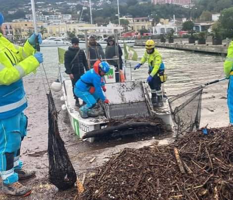MISERICORDIA Ischia2