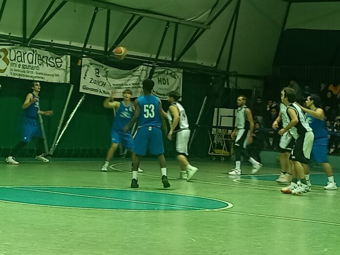 Basket meomartini