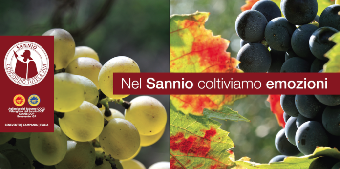Schermata 2023-01-26 alle 10.19.20