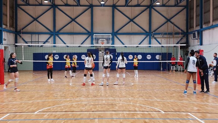 accademia ko con volleyro