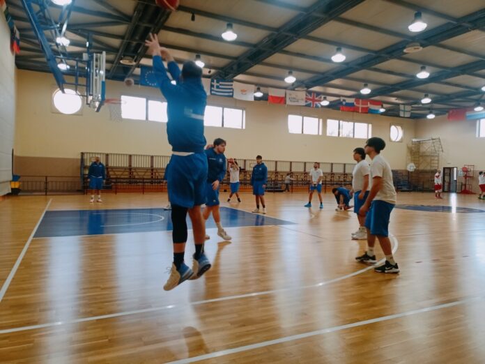 Basket meomartini