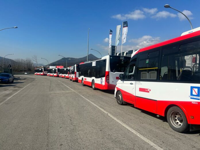 TROTTA BUS 3