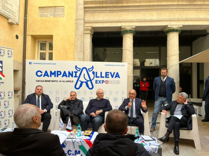 Campania Alleva 2023 2