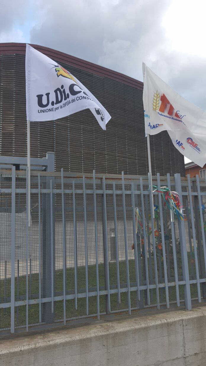 APICE UDIC