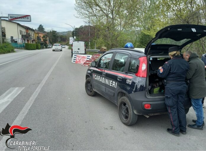 CARABINIERI