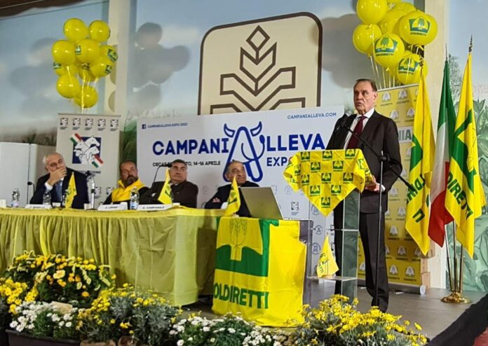 Camapania Alleva Mastella