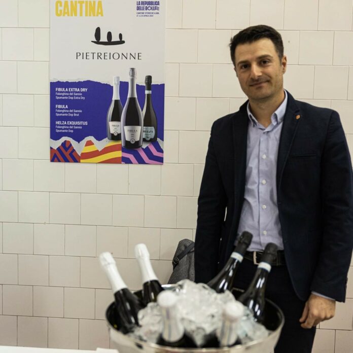 Vini Ponte
