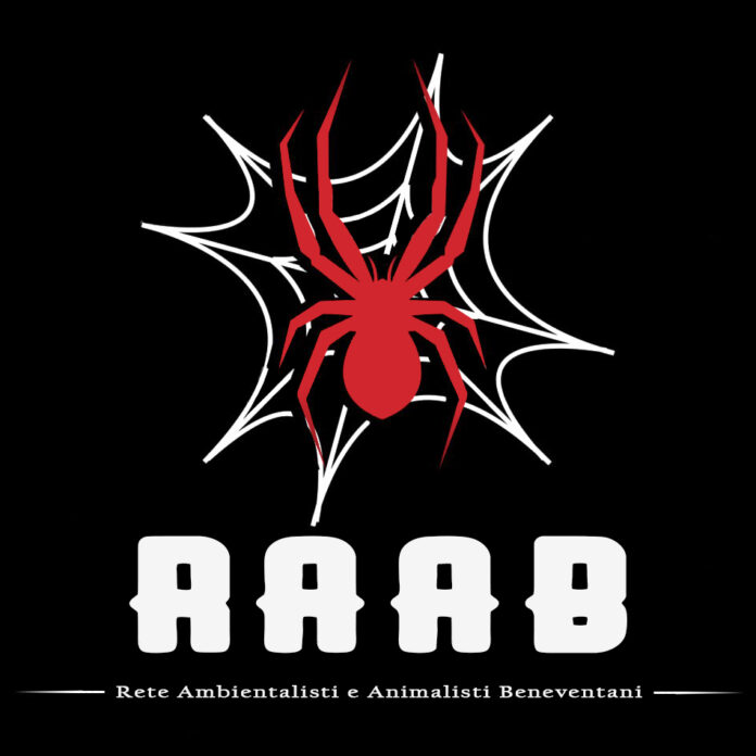 Spider and Cobweb Logo Vector Icons,animals making nests,for Halloween,costumes