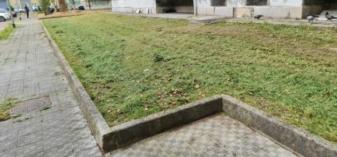 ERBA RIPULITA 159445a6-f98a-4dec-b8e7-75829a4a7b3c