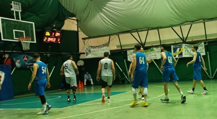 Meomartini basket