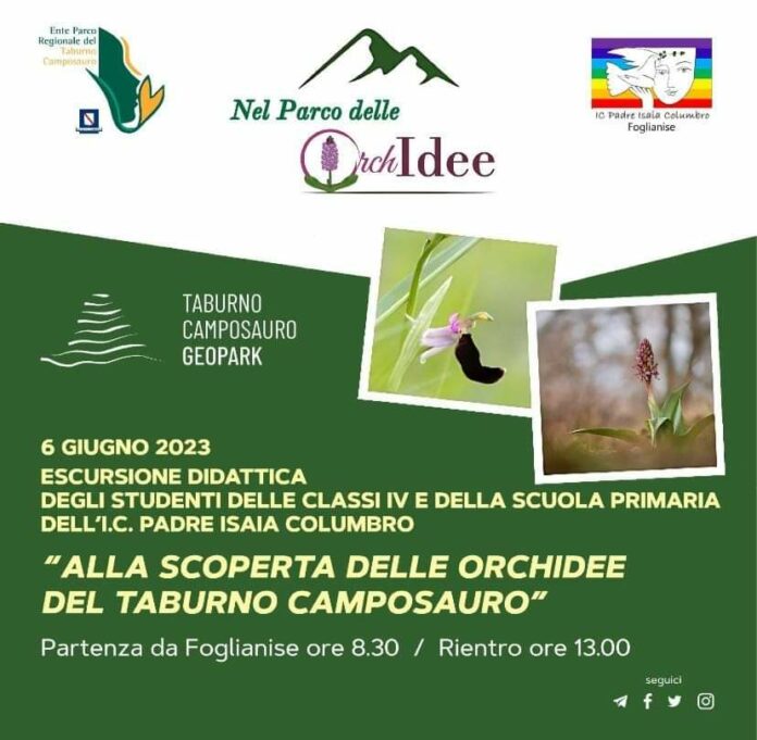 Parco taburno