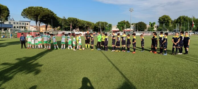 pesaro 3