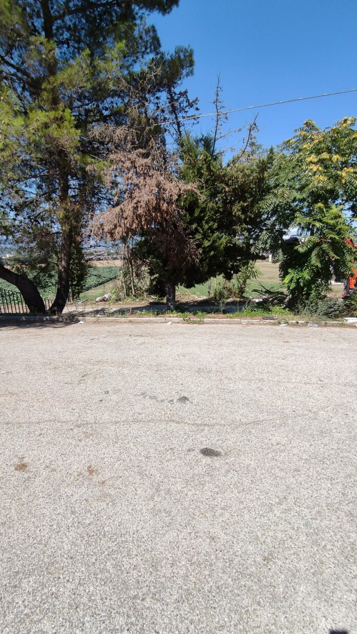 Via Cimitero BARACCOPOLI 3