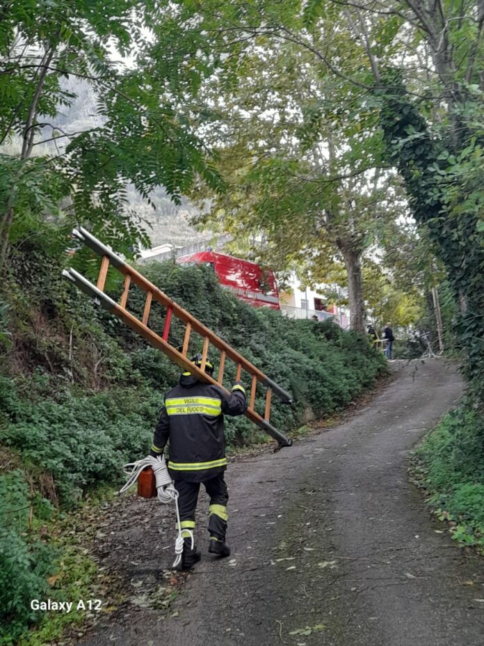 VIGILI LINEA ELETTRICA FOGLIANISE WhatsApp Image 2023-10-28 at 10.27.29 (2)